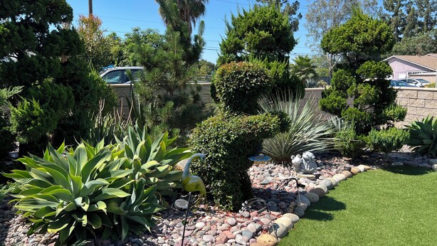 Un jardín ajardinado con diversas plantas, un borde de rocas y césped.