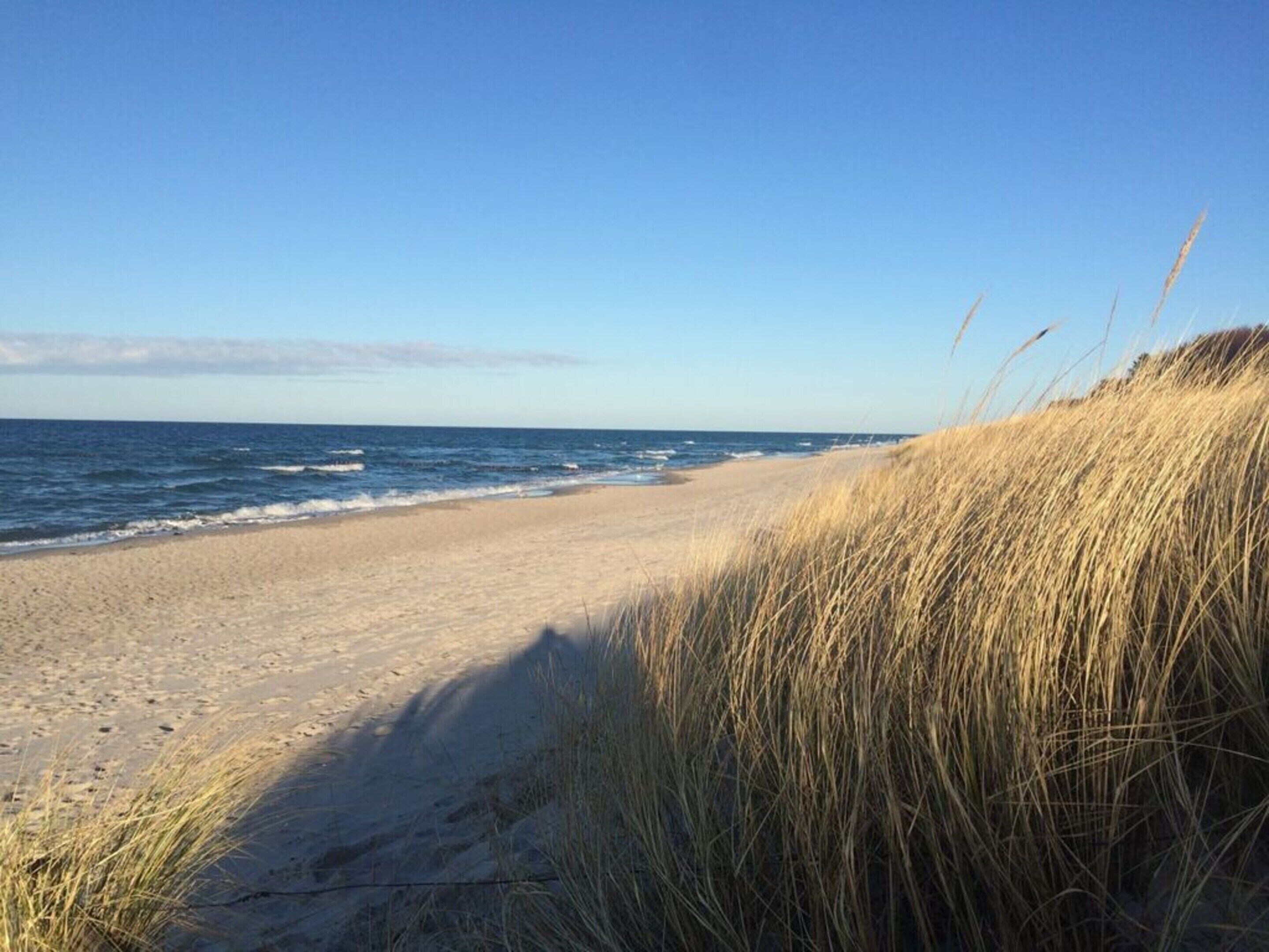 På stranden