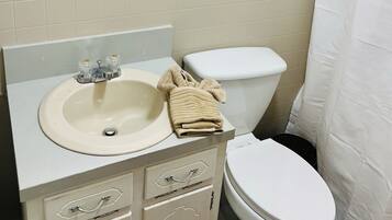 Une salle de bain avec un lavabo, un miroir et des toilettes.
