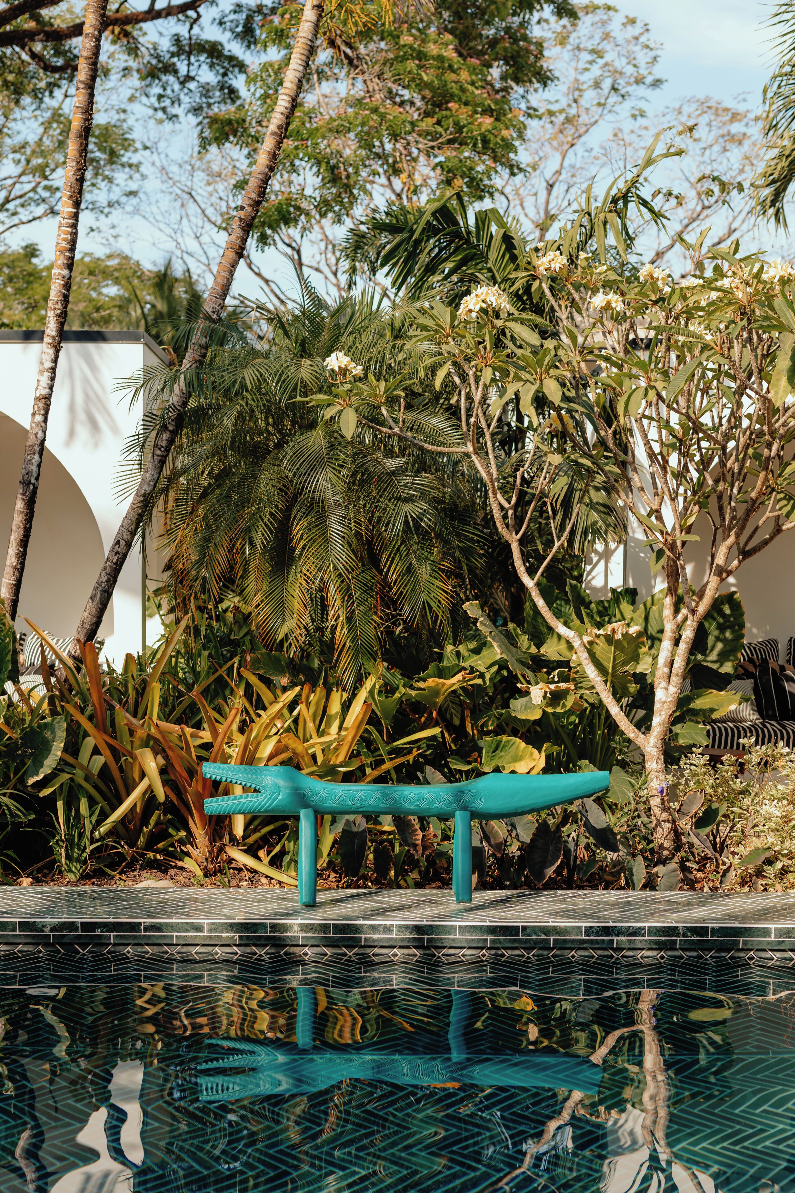 A pool with clear water, surrounded by tropical plants and a bench.