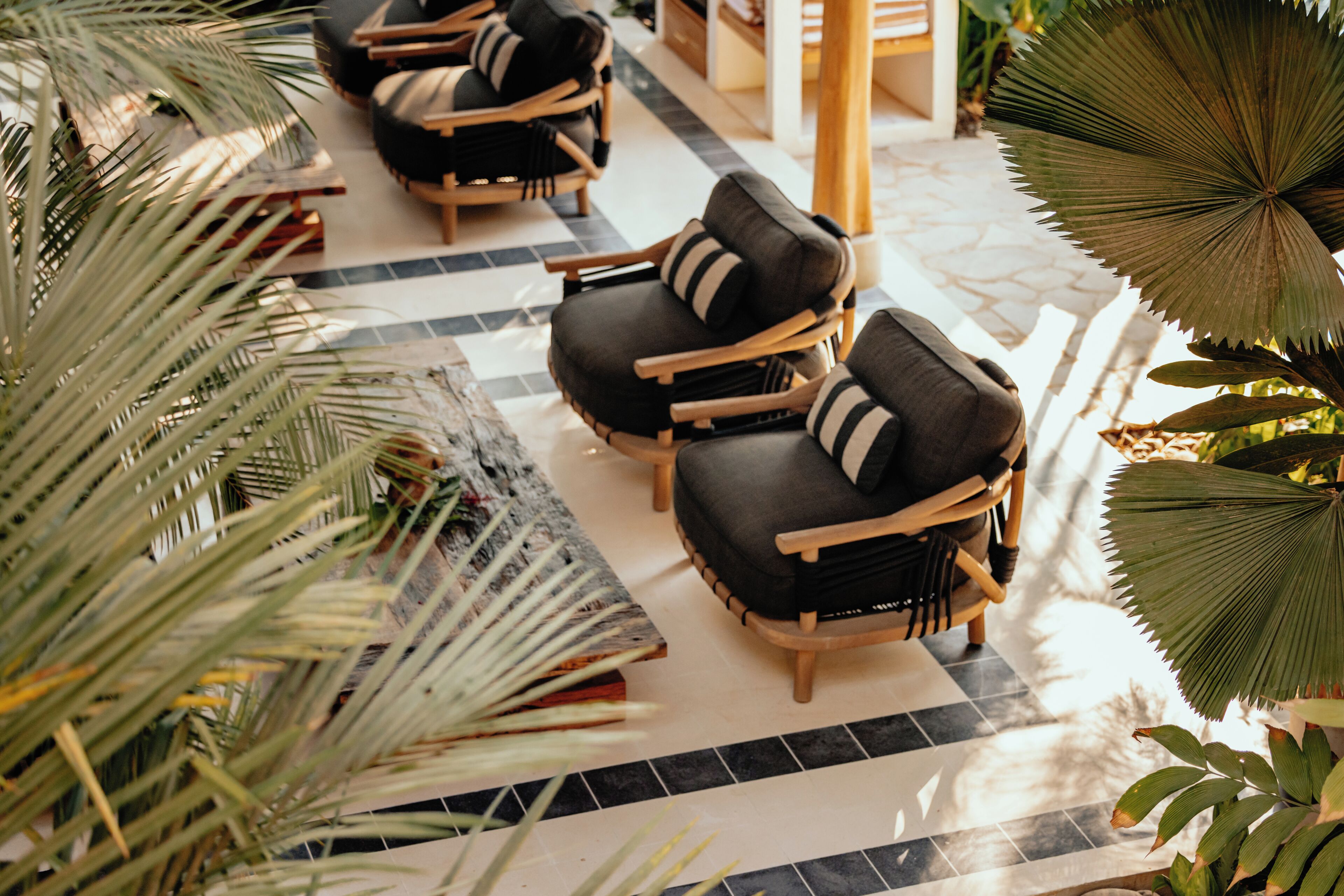 Un espacio interior moderno con piso a cuadros, sillas de madera con cojines y plantas tropicales.
