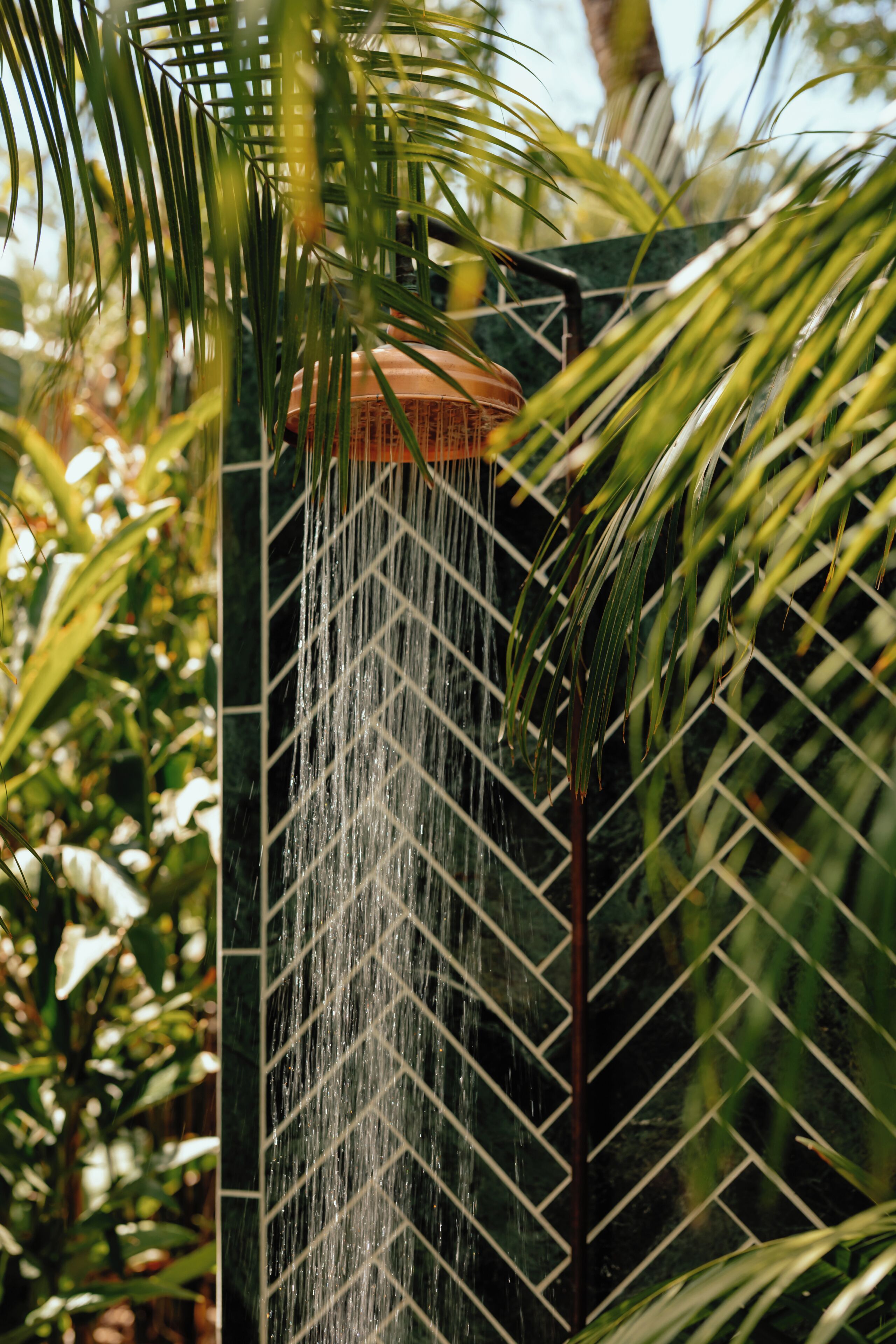 A water feature with a geometric pattern, surrounded by lush greenery.