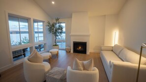 TV connectée, cheminée, livres, médiathèque