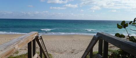 Playa en los alrededores