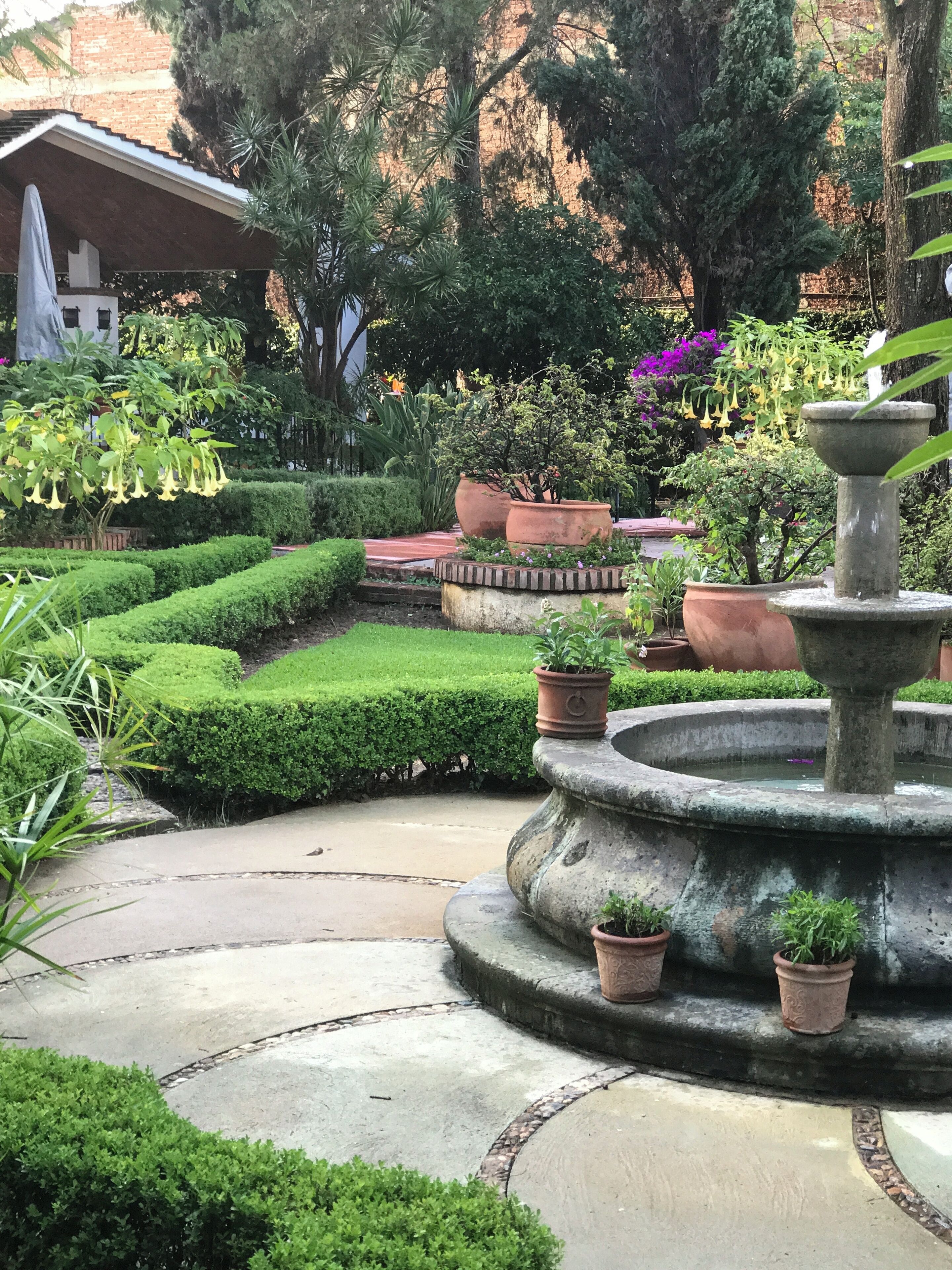 A well-maintained garden with a stone fountain, neatly trimmed hedges, and various potted plants.