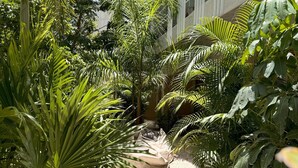 A lush indoor garden with various tropical plants and a seating area with a white cushion. - Jungle Chic Suites by Marea (Tulum)