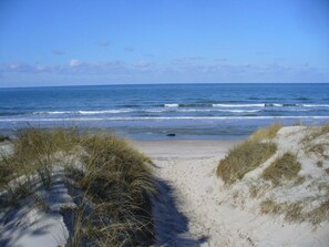 Beach - Dune 8 Comfortable Holiday Residence (Glowe)