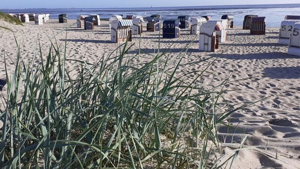 Ferienhaus | Strand