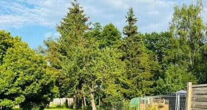 Gutshof von Gemunden Comfortable Holiday Residence