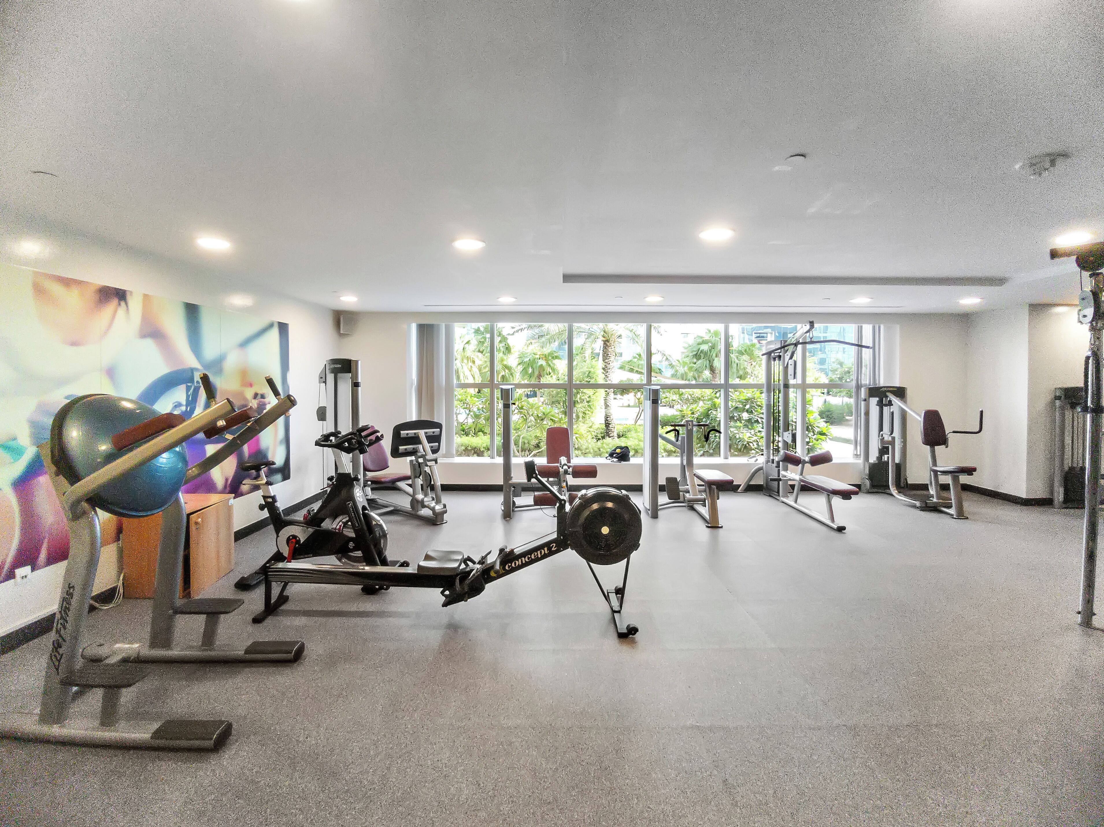 Ein Fitnessstudio mit unterschiedlichen Trainingsgeräten, großen Fenstern und Blick auf Grünflächen.