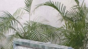 A pool with a small waterfall feature surrounded by palm plants. - Modern, spacious 2 bed, 2 bath villa, sleeps 6 - centrally in located Ocho Rios. (Ocho Rios)