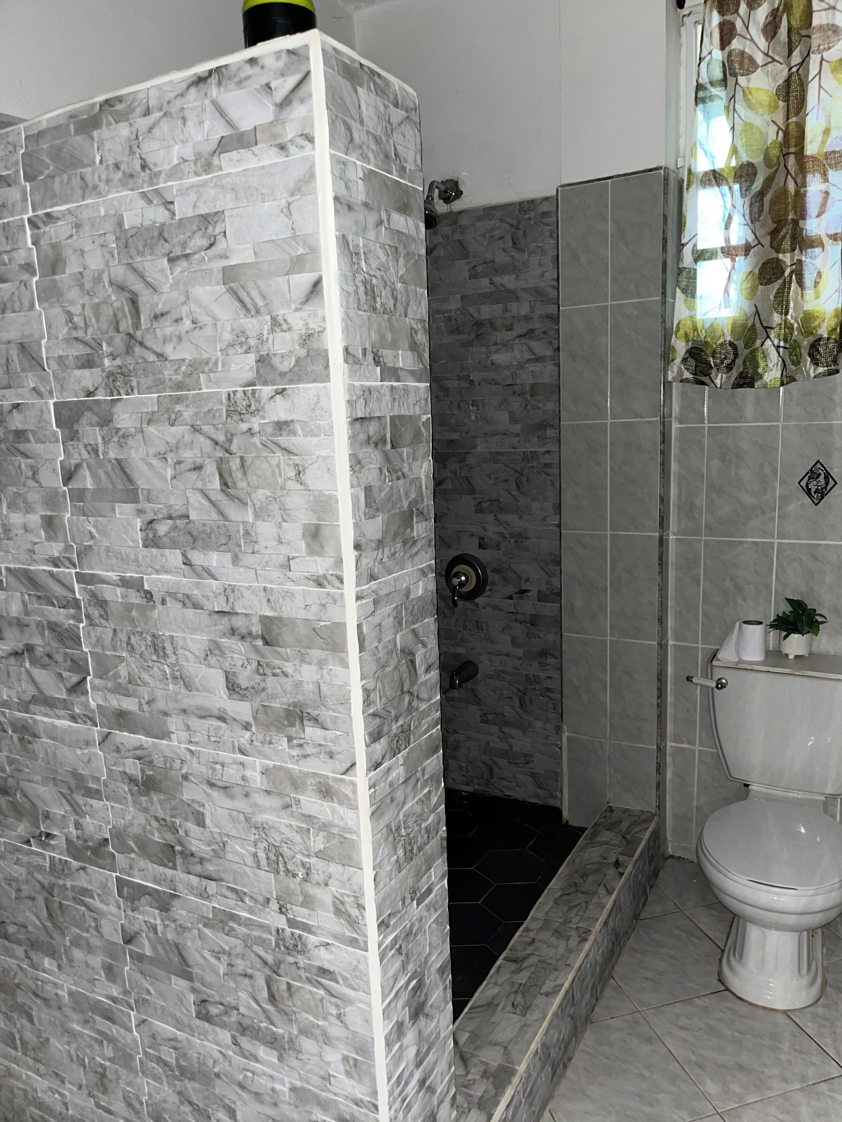 Shower, towels, soap, toilet paper