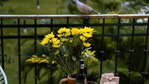 A table with a bottle of wine, glasses, apples, and a tray of flowers on a balcony with a view of a garden and a bird.