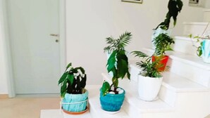 Un escalier aux marches blanches mène à un palier où sont disposées des plantes en pot.
