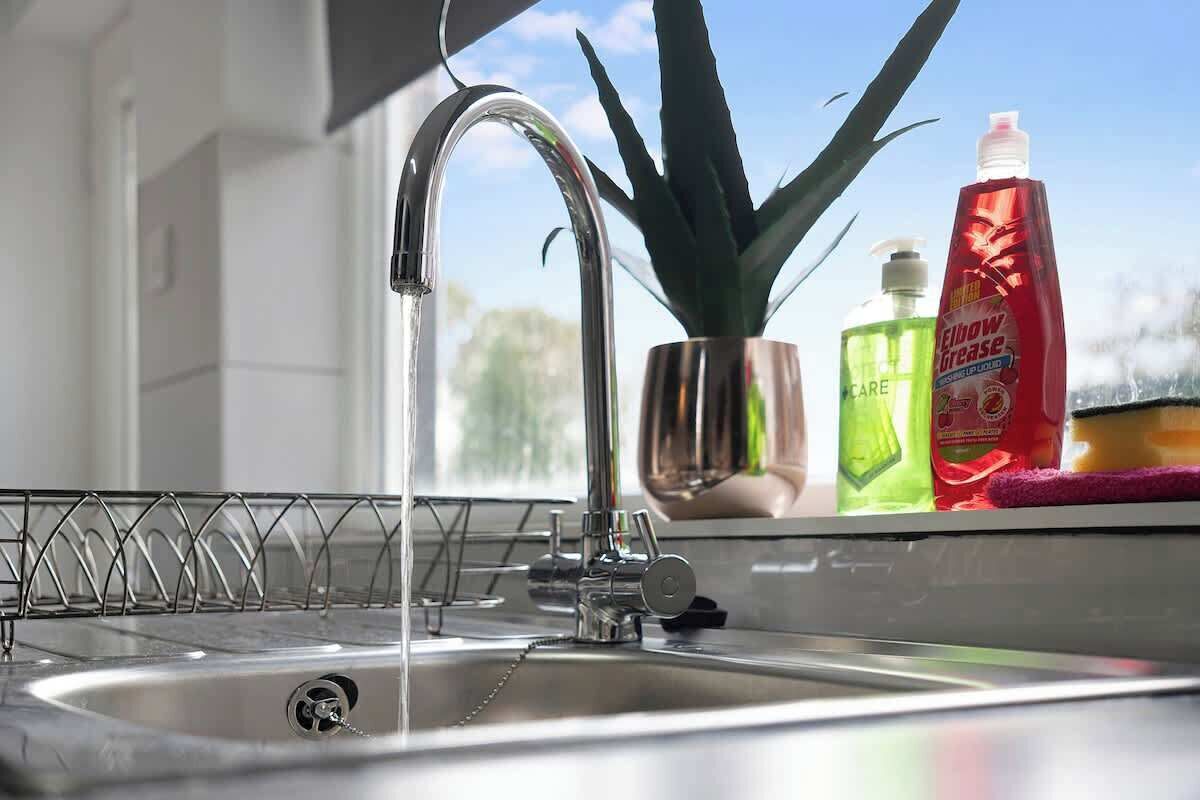 A kitchen sink with a faucet, a potted plant, and dish soap bottles.