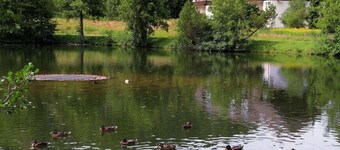 Comfortable Holiday Residence on the Lake