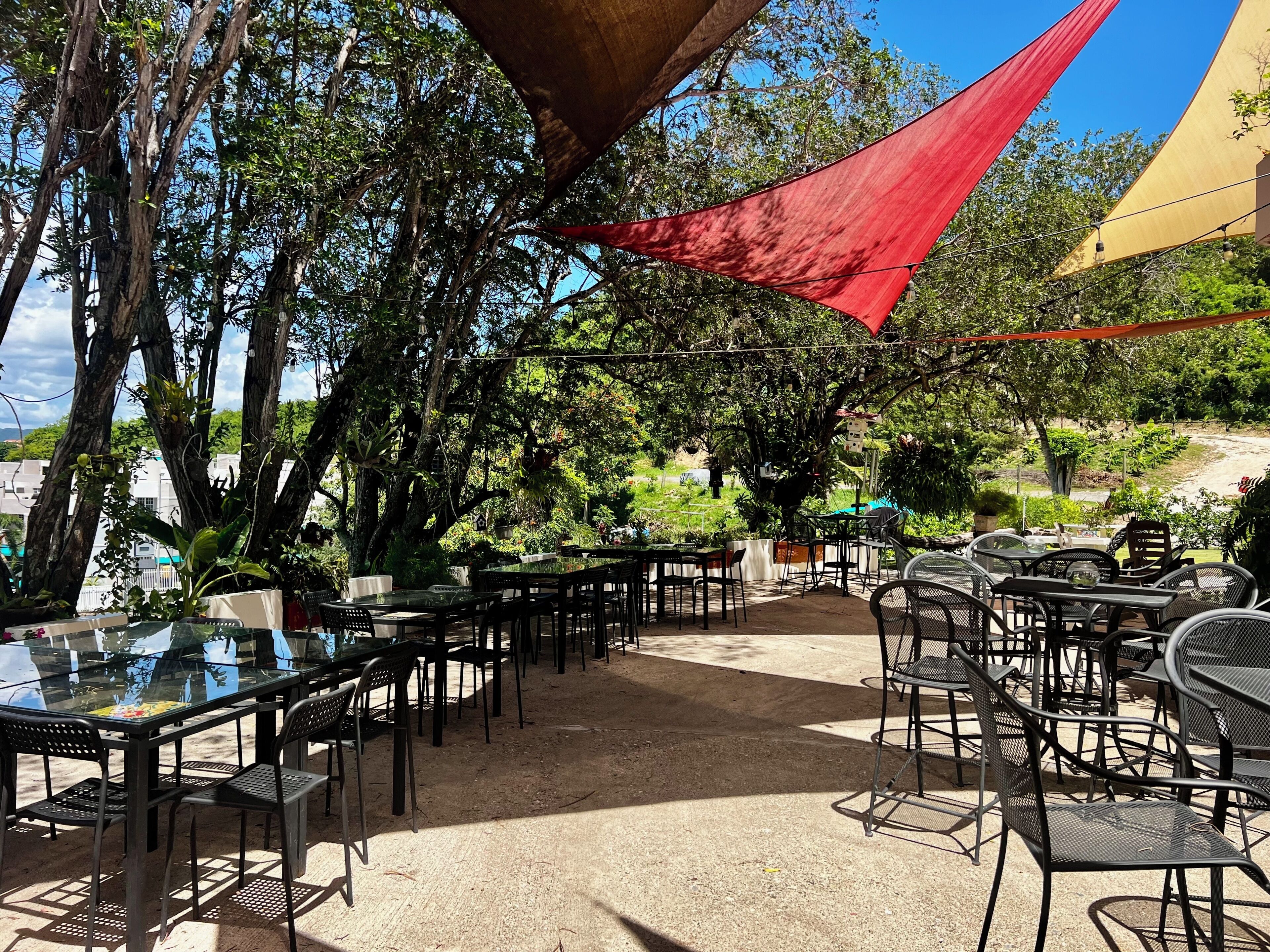 An outdoor dining area with tables and chairs, surrounded by trees and a clear sky.