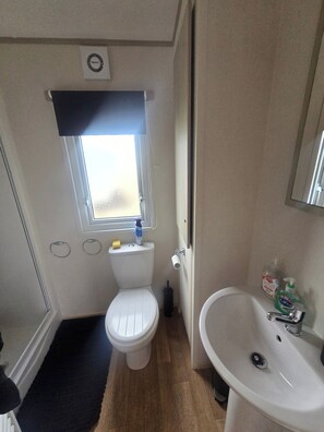 Shower, toilet paper