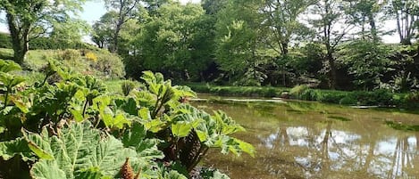 Chalet | Property grounds