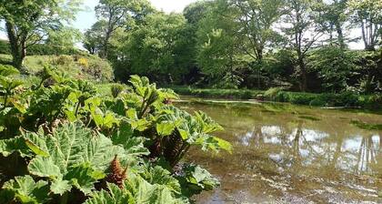 Millpond Chalet Retreat in Machynlleth