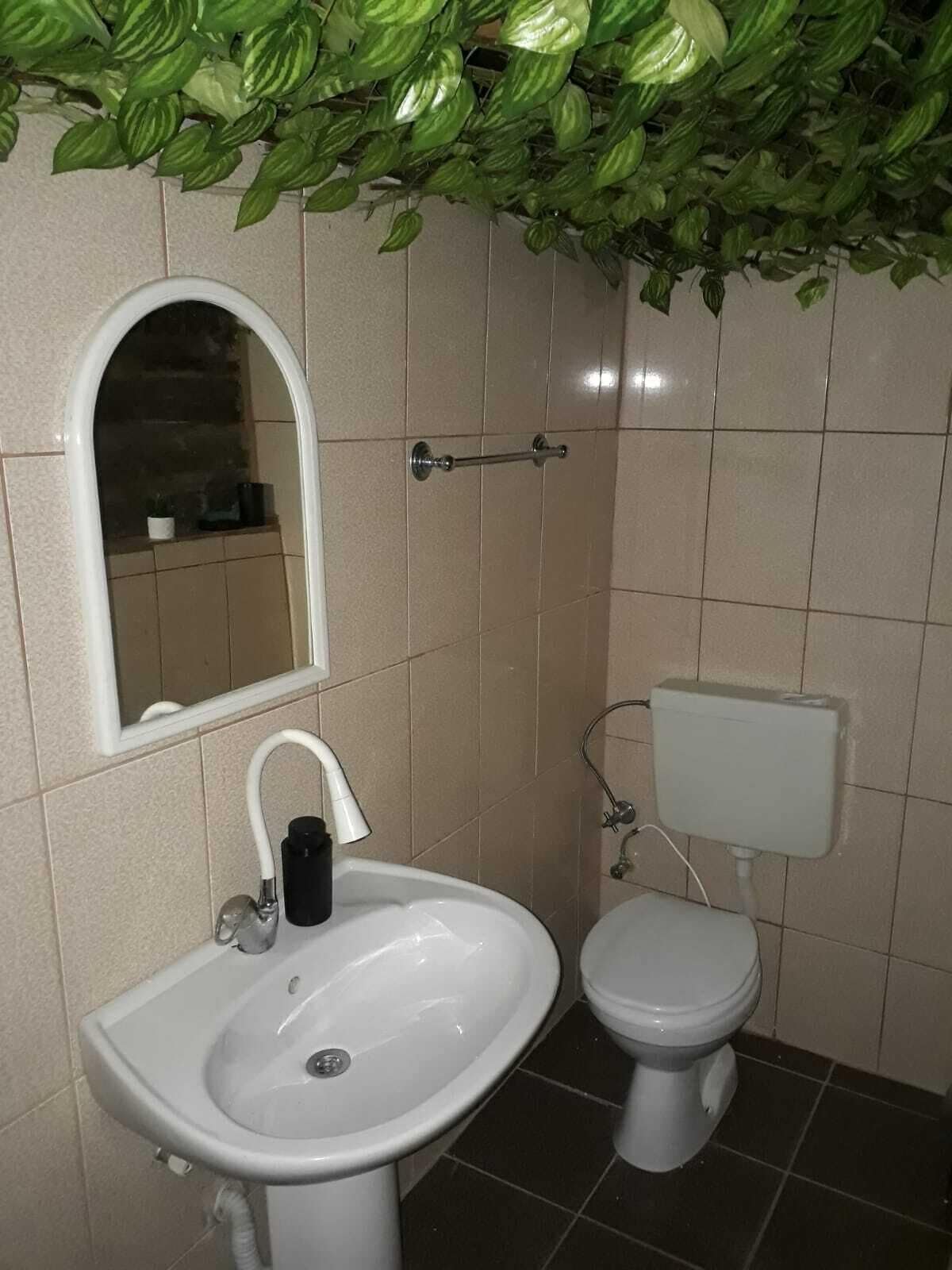 A bathroom with a sink, toilet, and a mirror.