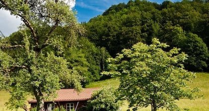 Thorau Alm Comfortable