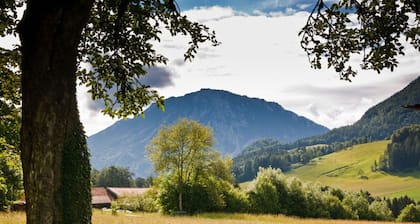 Thorau Alm Comfortable