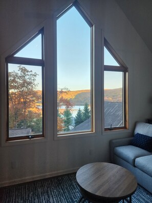 Smart TV, chimenea, libros