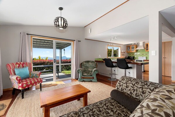 TV connectée, cheminée, lecteur de DVD, livres