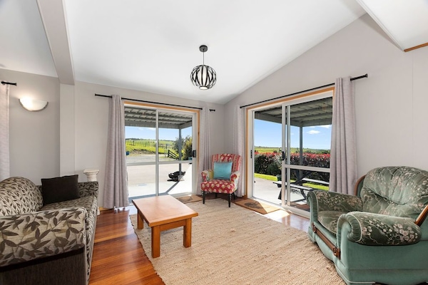 Smart TV, fireplace, DVD player, books