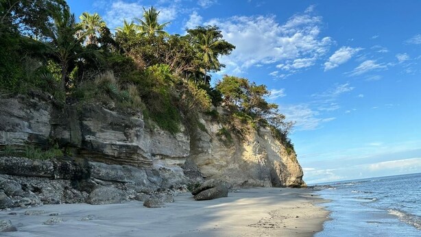 A beach with a rocky cliff and palm trees. - B&B Casa Naturaleza Playa Corona (Las Uvas)