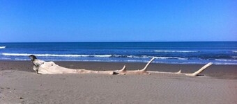 Mare Blu Comfortable Holiday Residence