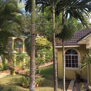 Property grounds - Tropical Treasure: 4 BR Oasis in the Hills of JA (Mandeville)