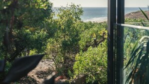 Udsigt fra en balkon over en have og havet.