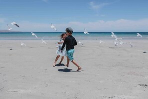 A beach with people and seagulls. - Salt Bush Beach House~The ultimate Fleurieu escape (Aldinga Beach)