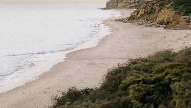 Une plage avec un rivage sablonneux et une falaise.