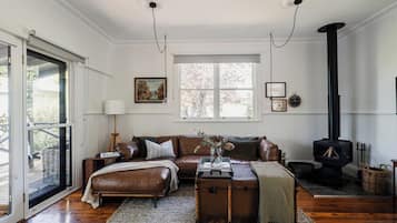 Smart TV, fireplace, books