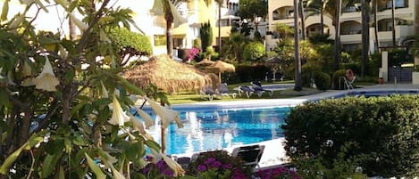 House | Pool