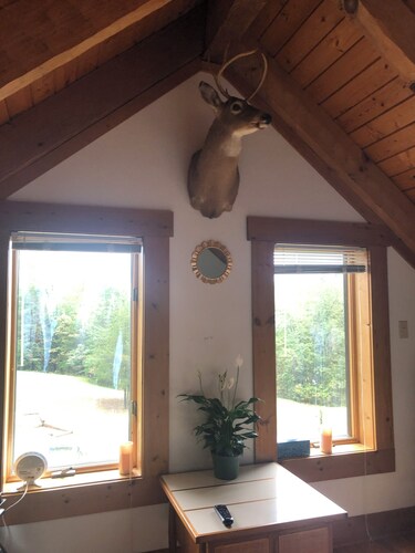 Charming 1-bedroom apartment with AC and WiFi close to old rag and local winery 