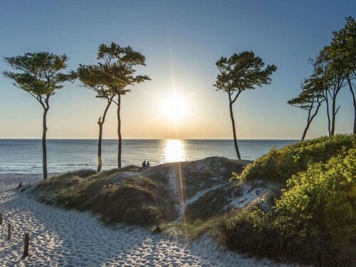 Herring Gull Comfortable Holiday Residence