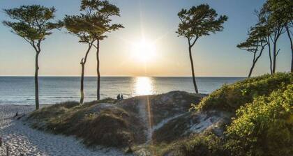 Herring Gull Comfortable Holiday Residence