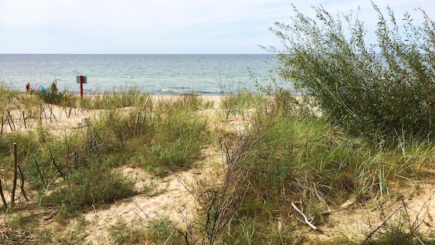 Una playa con dunas de arena y vegetación escasa.