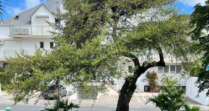 Beautiful new N1 2 bedroom apartment in Gd Case