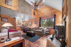 TV, fireplace, offices