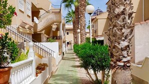Un sendero estrecho y adoquinado bordeado por edificios con balcones, palmeras y plantas en macetas.