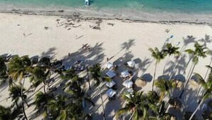 A beach with palm trees and beach umbrellas.