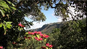 Jardí amb flors vermelles i un paisatge de muntanyes al fons.