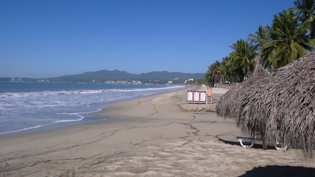 A beach with a thatched structure, palm trees, and a signboard.