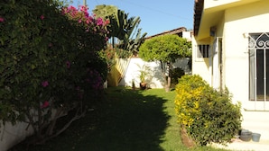 A narrow garden path leading to a house with a white facade and a brown roof.