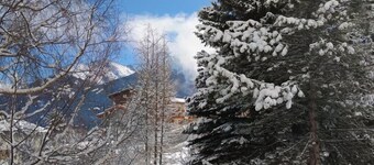 SOLDANELLE - AUSSOIS